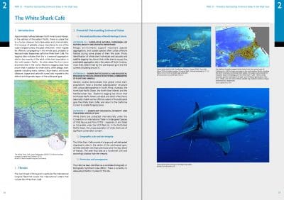 Protect the High Seas: White Shark Cafe