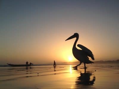 Fishermen gather on the beach at dawn to prepare for a day of fishing