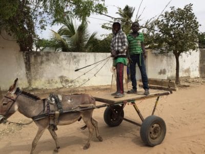 Young boys drive a donkey-drawn cart to the beach. Perhaps they will snatch a fish or two for themselves!