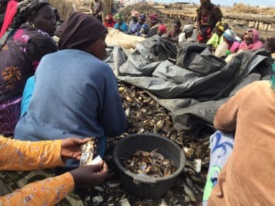 Local women in Joal transform the fish.