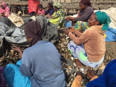 Local women transform the fish.