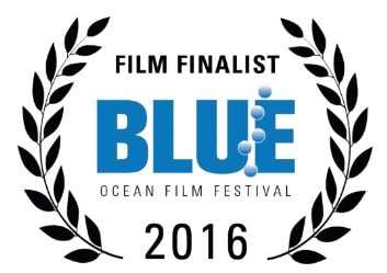 2016 Blue Ocean Film Festival Finalists