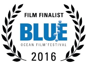 2016 Blue Ocean Film Festival Finalists