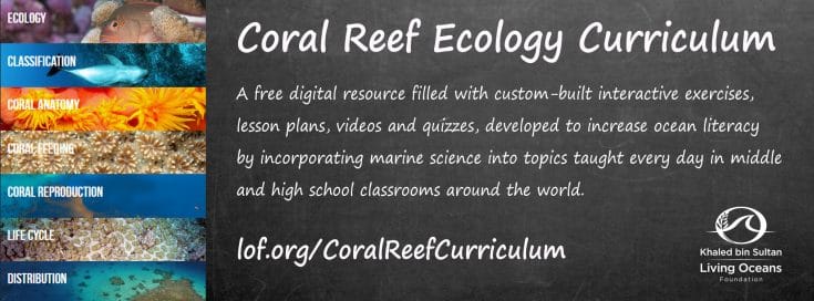 Living Oceans Coral Reef Education Portal Wins W3 Award