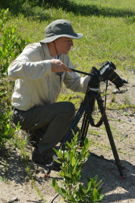 Videographer Art Binkowski filming mangroves