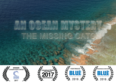 An Ocean Mystery
