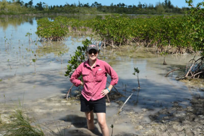 Ryann Rossi, PhD Candidate North Carolina State University