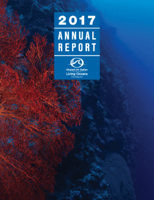 LOF Annual Report 2017 Cover_Page_1