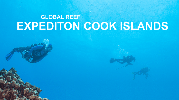 Global Reef Expedition: The Series - Living Oceans FoundationLiving ...