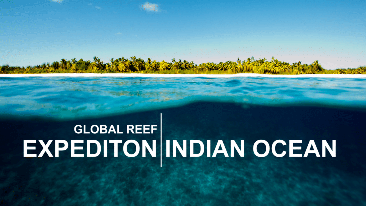 Global Reef Expedition: The Series - Living Oceans FoundationLiving ...