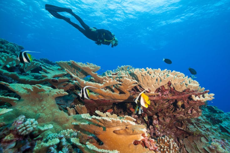 Global Reef Expedition: Research in Atlantic, Pacific & Indian ...