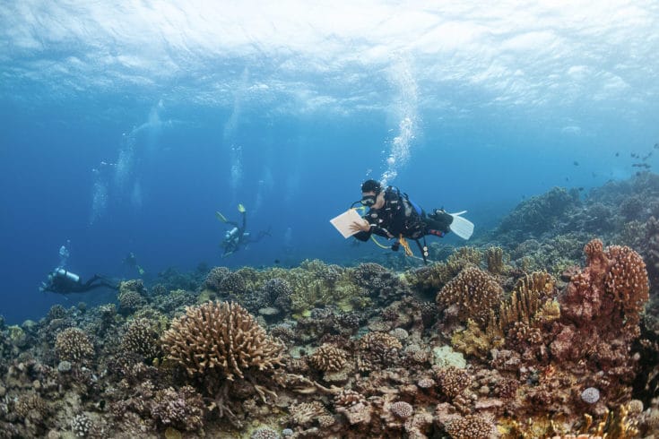 The Khaled bin Sultan Living Oceans Foundation Partners with NASA to ...