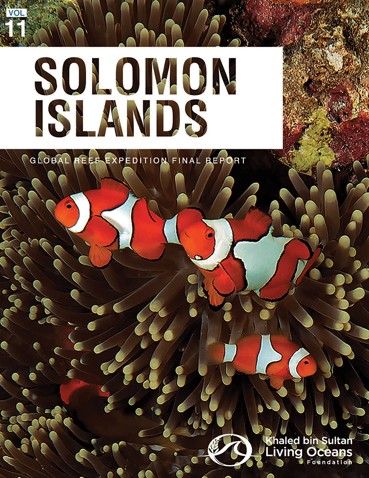 The State Of Coral Reefs In The Solomon Islands - Living Oceans ...