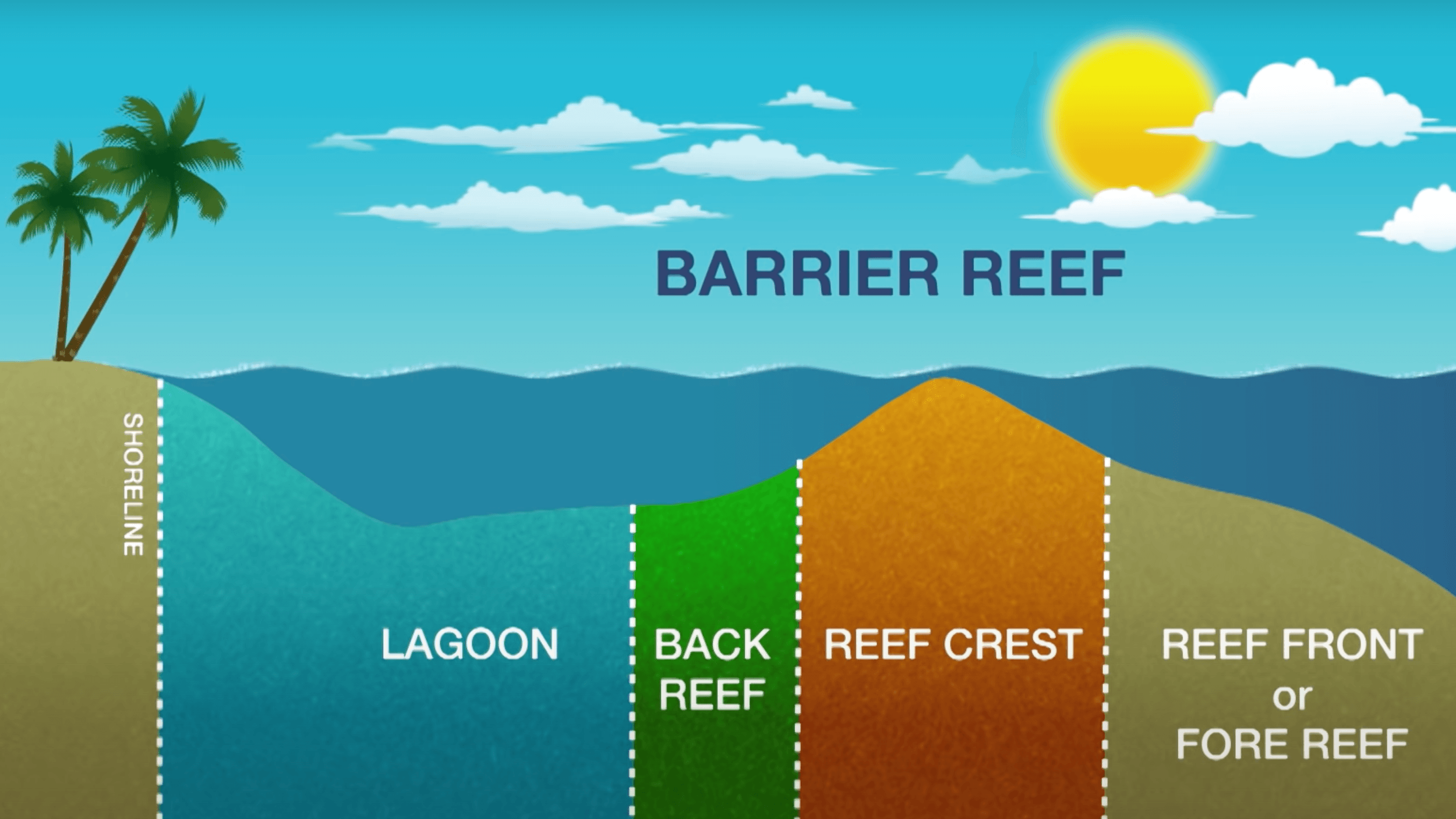Reef-Zones - Living Oceans FoundationLiving Oceans Foundation