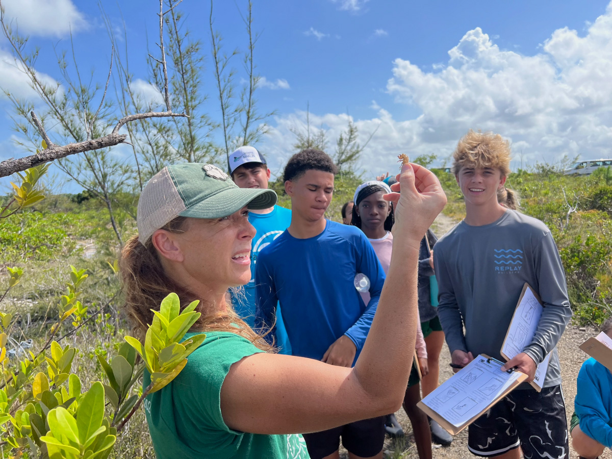 Mangrove Education Takes Root Again: Renewed Programs and New Partnerships